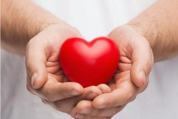 இலங்கையில்  ஏற்படும் 40% ஆன உயிரிழப்புக்களுக்கு இதுவே காரணம்; யாழ் பல்கலைகழக மருத்துவ பீடாதிபதி | This Is The Cause Of 40 Of Deaths In Sri Lanka