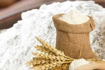 எரிபொருள் நெருக்கடி -கோதுமை மாவுக்கு தட்டுப்பாடு