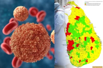 இலங்கையில் பரவும் அபாயகரமான வைரஸ்
