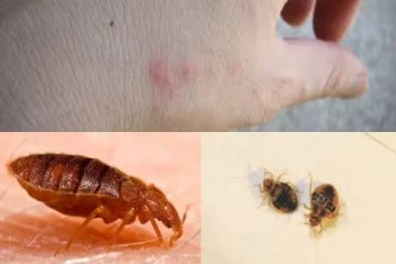 பிரான்சில் நிலவும் மோசமான பிரச்சினை: ஒலிம்பிக் போட்டிகளுக்கு முன் நடவடிக்கை எடுக்க எச்சரிக்கை