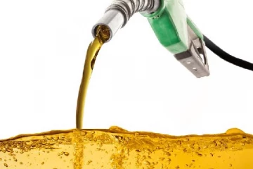 அனைத்து எரிபொருள் நிரப்பு நிலையங்களுக்கும் எரிபொருள் வழங்க அரசாங்கம் நடவடிக்கை