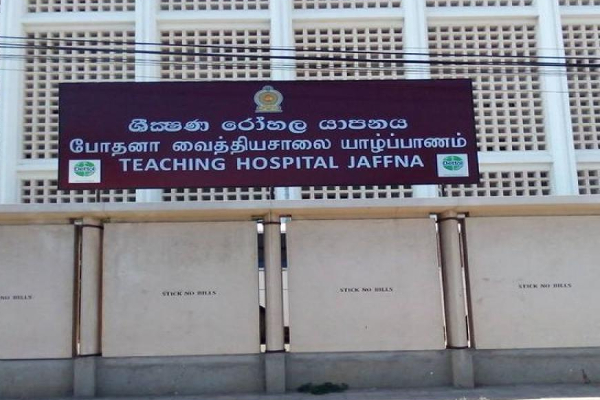 யாழில் மாங்காய் பறிக்க முயன்றவர் பலி | Death Who Tried To Pluck Mangoes In Yali