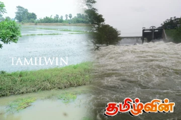 அம்பாறை கல் ஓயா ஆற்றின் கரை உடைப்பு: மூழ்கிய விளைநிலங்கள்