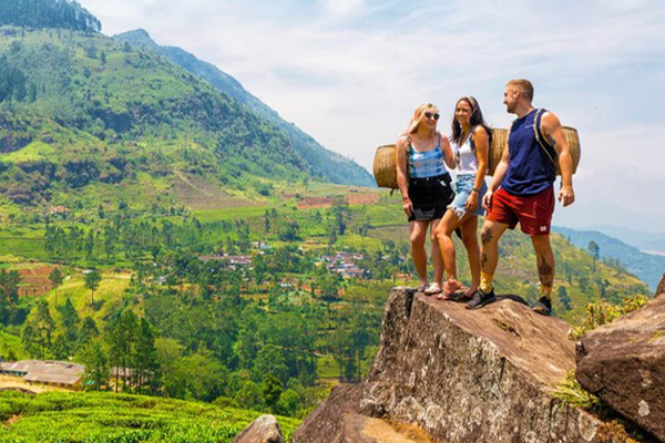 பில்லியன் கணக்கான டொலர் வருமானத்தை ஈட்டிய சுற்றுலாத்துறை | 3 7 Billion In Revenue From Tourist Arrivals