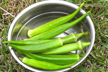 ஊறவைத்த வெண்டைக்காய் தண்ணீரை குடிப்பதால் ஏற்படும் நன்மைகள்