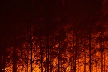 மீண்டும் உருவாகும் புதிய வெப்ப அலை... போர்க்கால நடவடிக்கையில் இரண்டு ஐரோப்பிய நாடுகள்