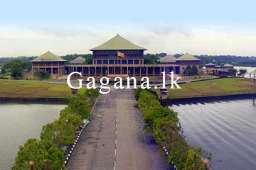 තනතුර ලැබී පැය 24ක් යන්නත් කලින් පාර්ලිමේන්තු නිලධාරිනියක් තනතුරින් ඉවතට.