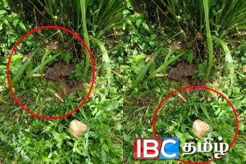 குப்பை மேட்டுக்கு அருகில் கண்டுபிடிக்கப்பட்ட மனித எலும்புக்கூடு