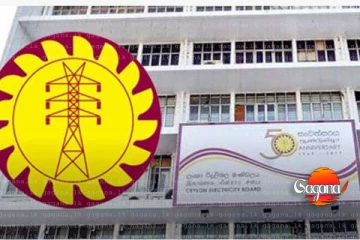 විදුලිබල මණ්ඩලය ඈවර කරනවාද? රජයෙන් විශේෂ ප්‍රකාශයක්