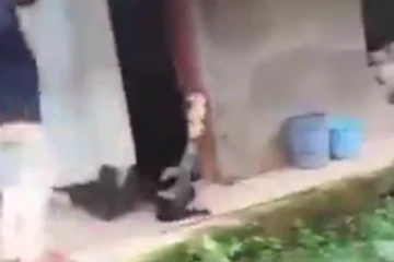 குளியலறையில் இருந்து படமெடுத்த ரட்சத ராஜநாகம்… துனிந்து சென்றவரை நடுநடுங்க வைத்த அதிர்ச்சி காட்சி