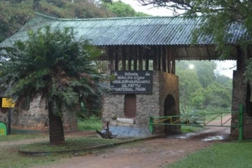 வில்பத்து தேசிய பூங்காவில் சிக்கியிருந்த சுற்றுலா பயணிகள் மீட்பு