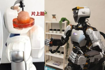 ரோபோவிற்குள் மனித மூளை உயிரணுக்கள்..விஞ்ஞானிகளின் புதிய முயற்சி