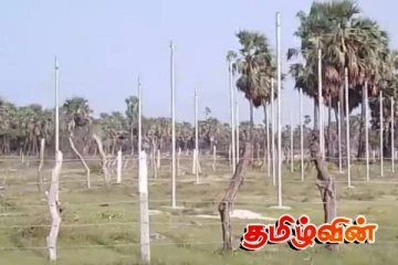 வெற்றிலைக்கேணியில் அத்துமீறி சுவீகரிக்கப்படும் பல ஏக்கர் கணக்கான அரச காணி