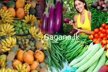 එළවළු මිල හදිසියේම අහස උසට නගී..දැනට යන නව මිල මෙන්න.