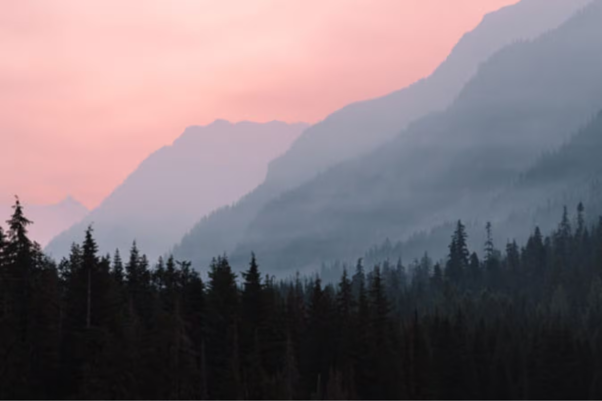 டொனால்ட் ட்ரம்பின் குற்றச்சாட்டிற்கு கனடா பதிலடி | Us Wildfires Responsible For Much Of The Smoke டொனால்ட் ட்ரம்பின் குற்றச்சாட்டிற்கு கனடா பதிலடி | Us Wildfires Responsible For Much Of The Smoke