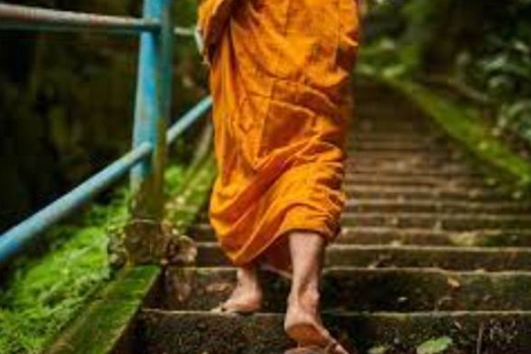 கனடா ஆசை காட்டி வைத்தியர் உட்பட மூவரிடம் பாரிய மோசடி செய்த பிக்குக்கு நேர்ந்த கதி! | Canada Job Offer Bhikkhu Cheats Three Peoples