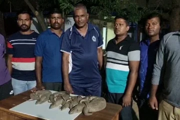 புதுக்குடியிருப்பில் நான்கு உடும்புகளுடன் மூவர் கைது