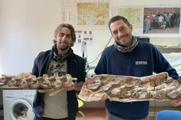 பிரான்சில் நாயுடன் வாக்கிங் சென்ற நபருக்கு கிடைத்த அரிய பொருள்