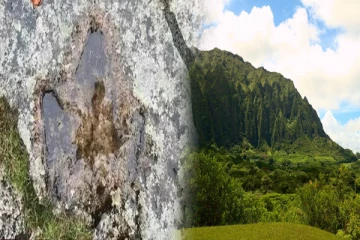 இங்கிலாந்தில் கண்டுபிடிக்கப்பட்ட 140 மில்லியன் வருட டைனோசரின் கால் தடம்