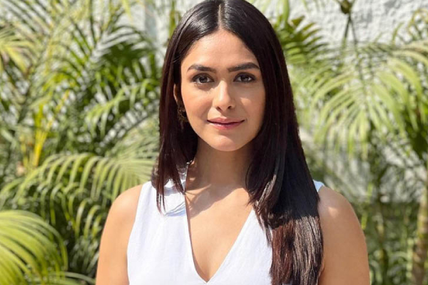 சீதா ராமம் பட நடிகையின் சொத்து மதிப்பு இத்தனை கோடியா? வாய்பிளக்கும் நெட்டிசன்கள் | Actress Mrunal Thakur Net Worth