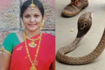 பூரான் கடித்ததாக நினைத்து மெத்தனமாக இருந்த பெண் மென்பொறியாளருக்கு நேர்ந்த கதி! எச்சரிக்கை செய்தி