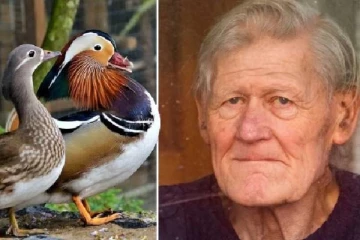 எனது குடும்பம்... பிரித்தானியாவில் பறவைக் காய்ச்சலால் முதன்முதலில் பாதிக்கப்பட்ட நபர் உருக்கம்