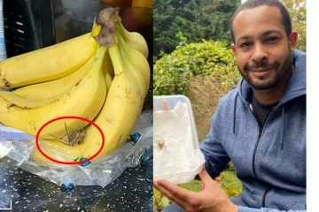லண்டன் சூப்பர் மார்க்கெட்டில் வாழைப்பழங்களை வாங்கிய நபர்! வீட்டில் அதை சாப்பிட முயன்ற போது காத்திருந்த அதிர்ச்சி... எச்சரிக்கை செய்தி