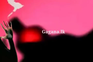 ඇසිඩ් ප්‍රහාරය පුද්ගලයෙක්ට ගෙනා අගතිය.