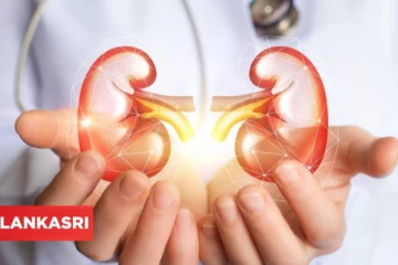 வாழ்நாள் முழுவதும் 2 சிறுநீரகங்களும் நன்றாக செயல்பட இதை செய்யுங்கள்