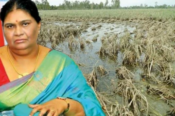 வடக்கு ஆளுநர் அதிகாரிகளுக்கு பிறப்பித்துள்ள உத்தரவு