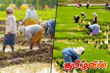 விவசாயிகளிடமிருந்து அறவிடப்பட்ட பல கோடி ரூபா நிதி : அம்பலமான தகவல்