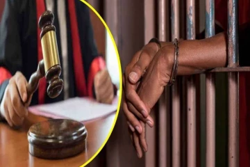 தவிசாளரிடம் அநாகரிகமாக நடந்து கொண்ட இளைஞருக்கு விளக்கமறியல்!