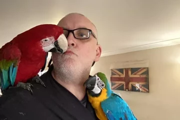 கதறி அழும் பெண்ணின் சத்தம்; விசாரிக்க சென்ற பிரிட்டன் பொலிஸாருக்கு ஆச்சர்யம்!