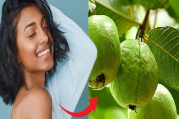 கொய்யா இலையால் முடி வளருமா? இதை ட்ரை பண்ணுங்க!