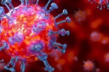 කොරෝනා නව ප්‍රභේදයෙන් ඇති වන භයානක තත්ත්වයක් සම්බන්ධයෙන් ප්‍රකාශයක්..