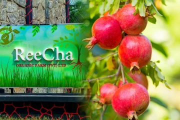 புலம்பெயர்ந்த தேசங்களிலும் தாக்கத்தை ஏற்படுத்தும் றீ(ச்)ஷா