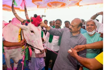 முதலமைச்சரை கொடூரமாக தாக்க முயன்ற மாடு - கோ பூஜையில் நடந்த கோர சம்பவம்