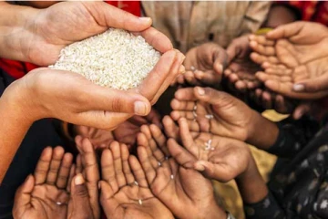 இலங்கையில் நாளாந்த உணவை குறைத்துக்கொண்டுள்ள பல குடும்பங்கள் - ஐ.நா அமைப்பு