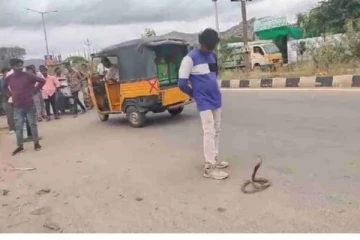 படம் எடுத்த ஆடிய நாகப்பாம்பு - மாஸ் பண்ண நினைத்து மருத்துவமனையில் மதுபாபு