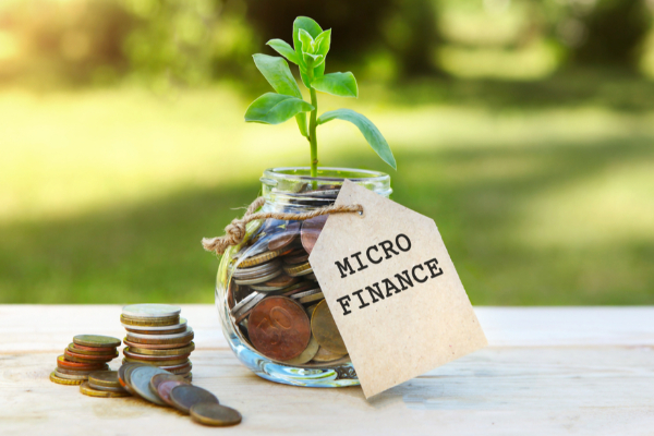 வேலணை பிரதேச சபையின் ஆளுகைக்குள் நுண் நிதிக்கடன் நிறுவனங்களுக்கு தடை | Ban On Microfinance Institutions In Velanai வேலணை பிரதேச சபையின் ஆளுகைக்குள் நுண் நிதிக்கடன் நிறுவனங்களுக்கு தடை | Ban On Microfinance Institutions In Velanai