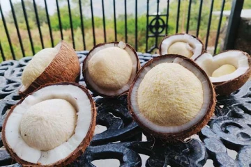 சிறுநீரக பாதிப்பினால் அவதிப்படுகிறீர்களா? தேங்காய் பூ செய்யும் அற்புதம்