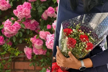 இலங்கையில் ரோஜா மலருக்கு ஏற்பட்டுள்ள அதிக கிராக்கி