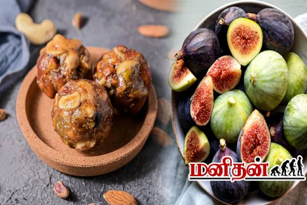 நாள்பட்ட மலச்சிக்கலை தடுக்கும் அத்தி லட்டு.. யாரெல்லாம் சாப்பிட்டால் உடனடி பலன்? | Benefits Of Fig Dry Fruit Laddu Recipe நாள்பட்ட மலச்சிக்கலை தடுக்கும் அத்தி லட்டு.. யாரெல்லாம் சாப்பிட்டால் உடனடி பலன்? | Benefits Of Fig Dry Fruit Laddu Recipe