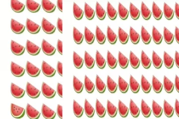 Optical illusion: படத்தில் இருக்கும் வித்தியாசமான தர்பூசணி பழத்தை கண்டுபிடிக்க முடியுமா?