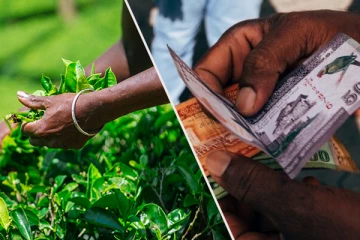 பெருந்தோட்டத் தொழிலாளர்களுக்கு முதன்முறையாக 1700 சம்பளம்!