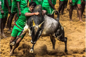 தொடங்கியது பாலமேடு ஜல்லிக்கட்டு – காளைகளுடன் மல்லுக்கட்டும் வீரர்கள்