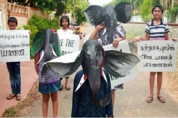 யானைகள் தொடர்பாக விழிப்புணர்வு பற்றிய சிறுவர்கள் சிறுதூர நடைபயணம்