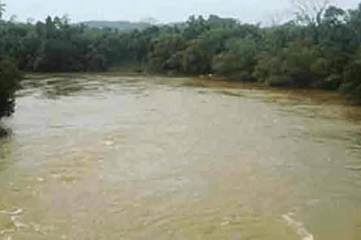 களு கங்கையில் சிறிய அளவிலான வெள்ளப்பெருக்கு: எச்சரிக்கை மட்டத்தை எட்டிய பல நதிகள் | Minor Flooding In Kalu Ganga Rivers Reach Alert களு கங்கையில் சிறிய அளவிலான வெள்ளப்பெருக்கு: எச்சரிக்கை மட்டத்தை எட்டிய பல நதிகள் | Minor Flooding In Kalu Ganga Rivers Reach Alert