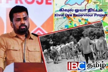 கிவுல் ஓயாவால் ஆபத்தை உணராத மட்டக்களப்பு பண்ணையாளர்கள்!