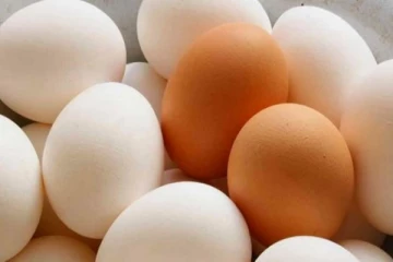 முட்டை விலை தொடர்பில் எடுக்கப்பட்டுள்ள புதிய தீர்மானம்